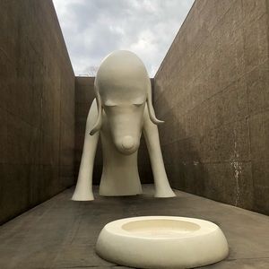 Meet your Posher, Steven